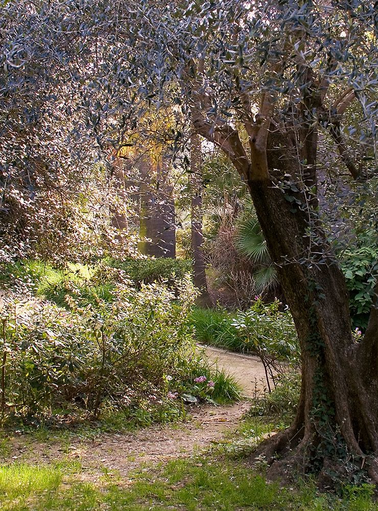 Mediterranean Garden II art print by Rita Crane for $57.95 CAD