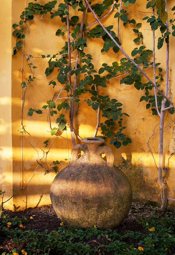 Riviera Garden Detail II art print by Rita Crane for $57.95 CAD