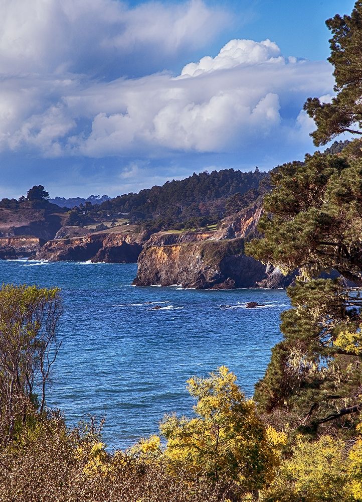 Along the Bluffs I art print by Rita Crane for $57.95 CAD