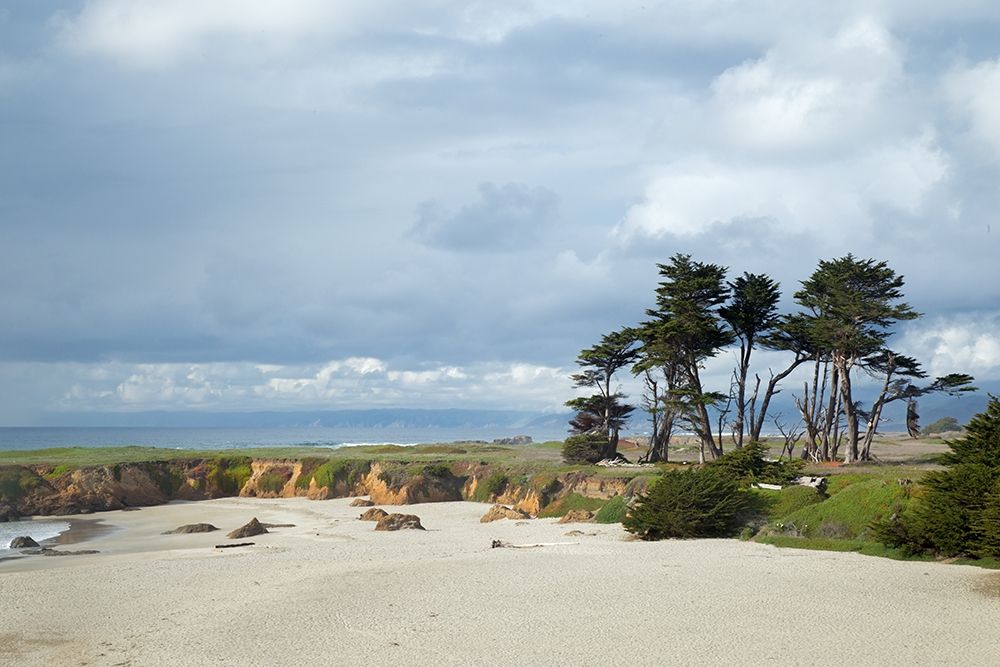 Sand-Sea and Sky II art print by Rita Crane for $57.95 CAD