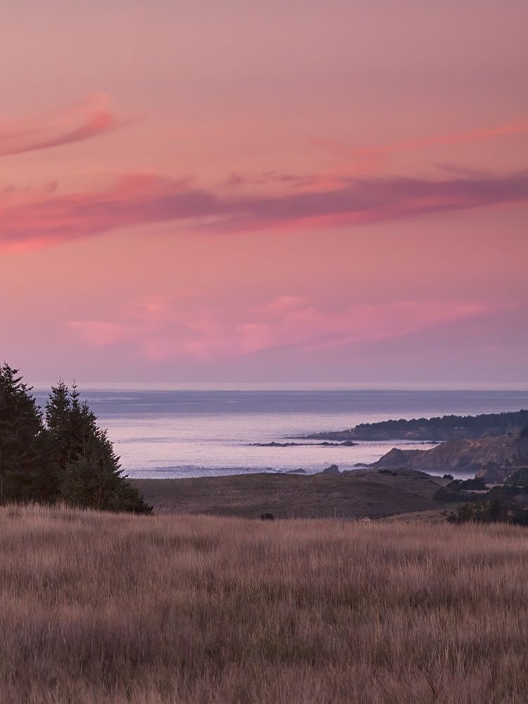 Rosy Coastal Sunset I art print by Rita Crane for $57.95 CAD