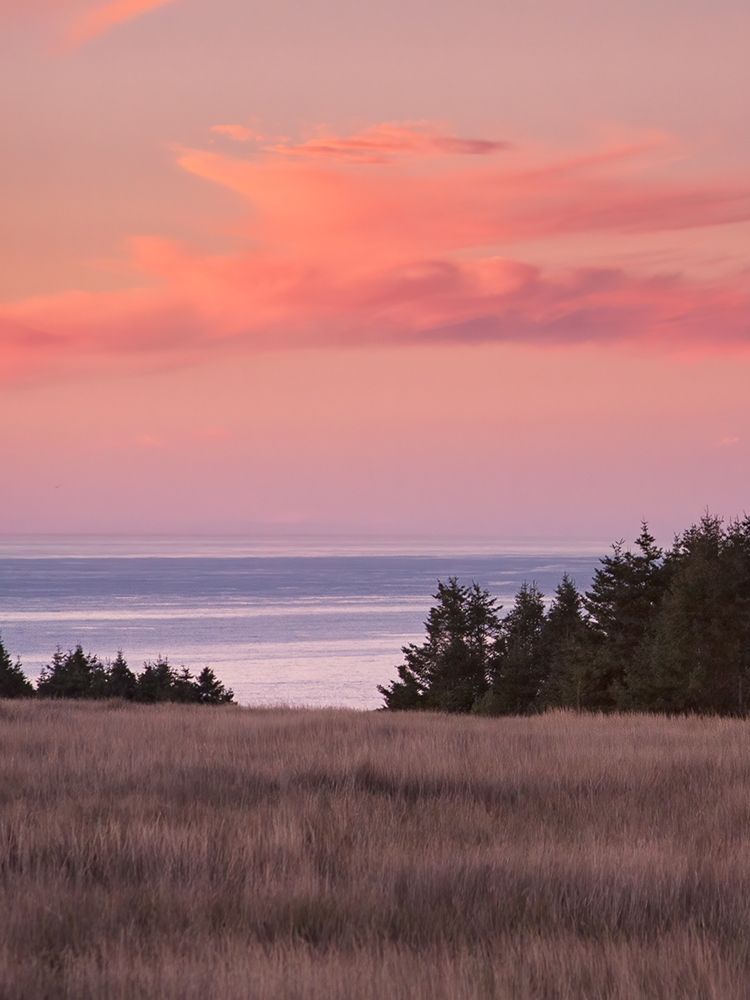 Rosy Coastal Sunset II art print by Rita Crane for $57.95 CAD