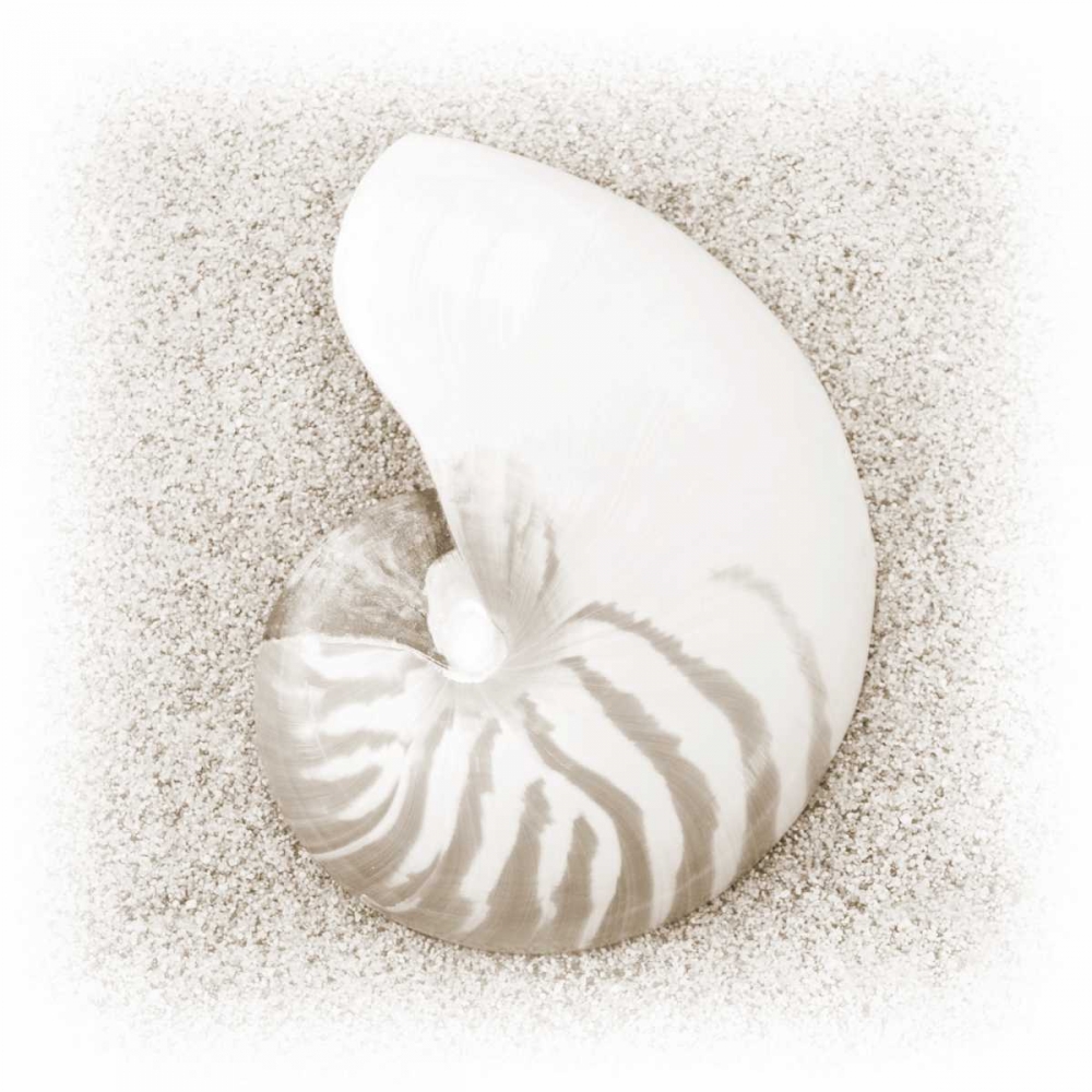 In the Sand III art print by Jim Christensen for $57.95 CAD