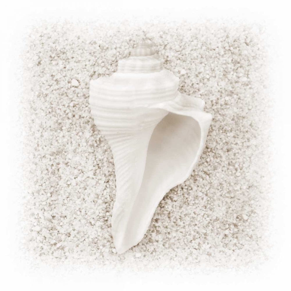 In the Sand IV art print by Jim Christensen for $57.95 CAD