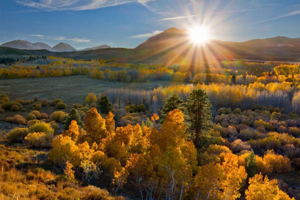 Eastern Sierra I art print by Mark Geistweite for $57.95 CAD