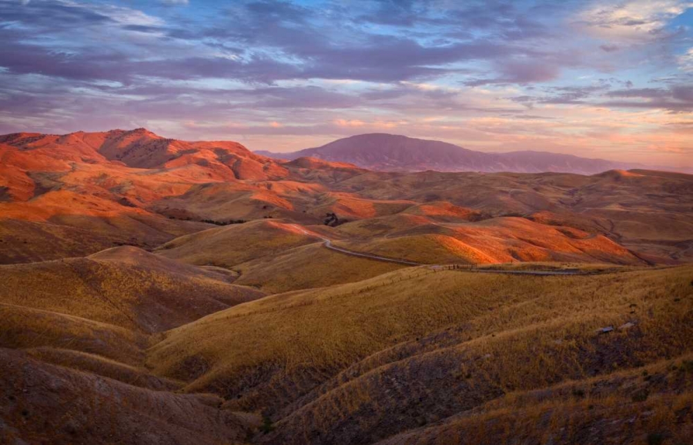 Parched Palette art print by Mark Geistweite for $57.95 CAD