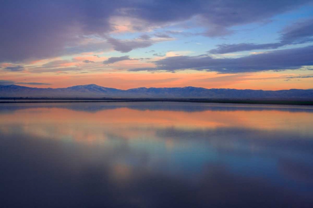 Watercolor II art print by Mark Geistweite for $57.95 CAD