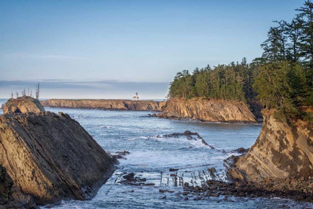 Cape Arago Lighthouse art print by Stan Hellmann for $57.95 CAD