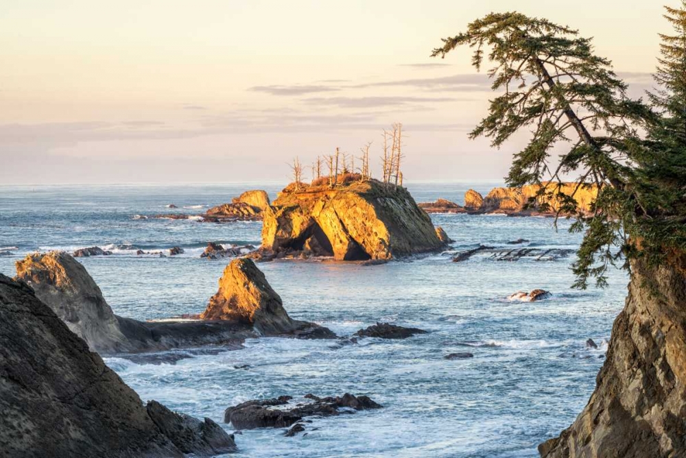 Sunset at Sunset Bay art print by Stan Hellmann for $57.95 CAD