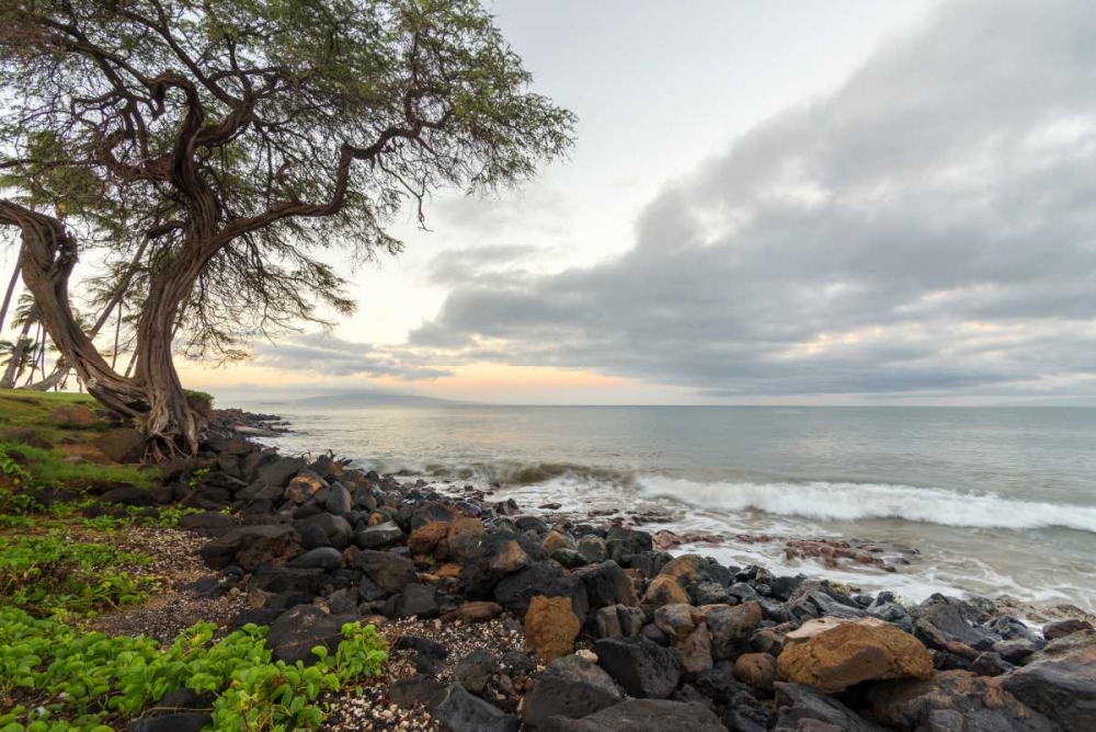 Kihei Sunrise art print by Stan Hellmann for $57.95 CAD