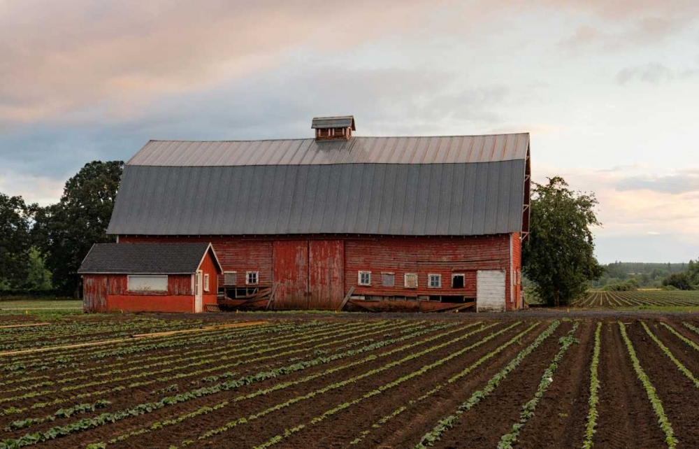 Mt. Angel Barn art print by Stan Hellmann for $57.95 CAD