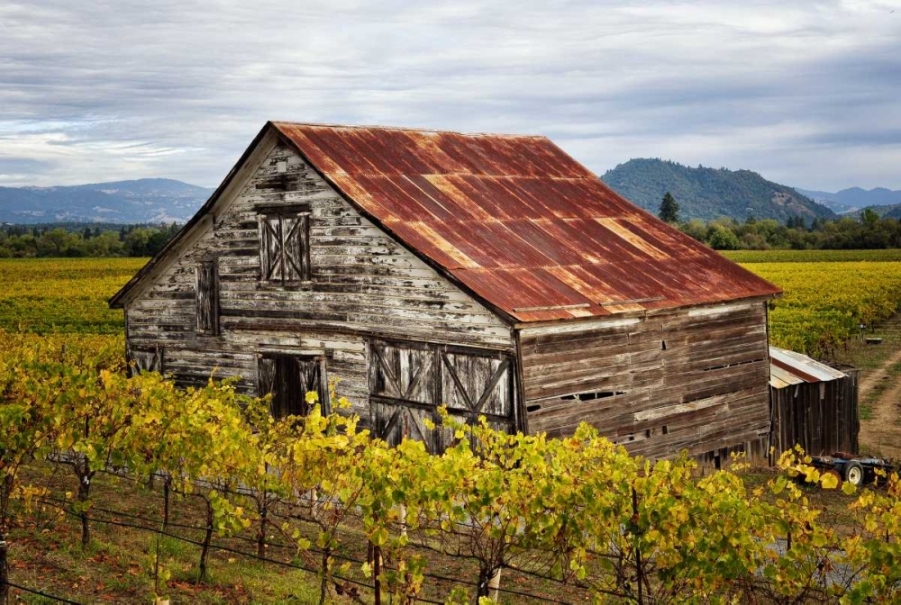 Sonoma Barn art print by Stan Hellmann for $57.95 CAD