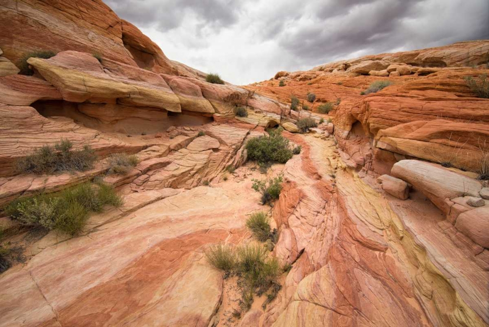 Valley of Fire I art print by Stan Hellmann for $57.95 CAD
