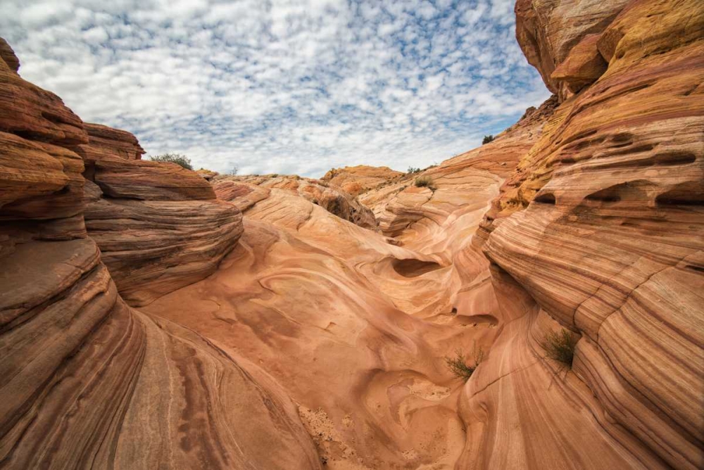 Valley of Fire III art print by Stan Hellmann for $57.95 CAD