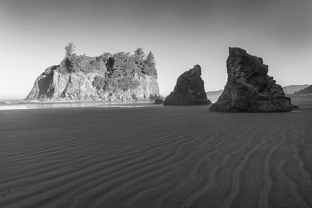 Ruby Beach Morning II BW art print by Stan Hellmann for $57.95 CAD