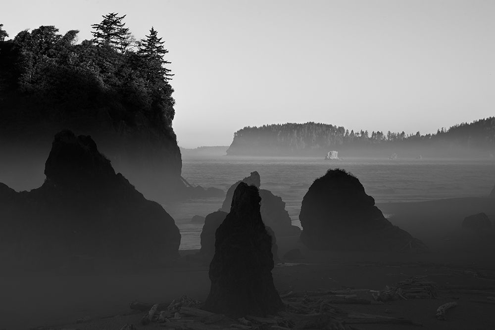Ruby Beach Morning III BW art print by Stan Hellmann for $57.95 CAD