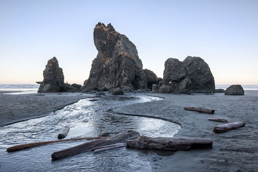 Ruby Beach Morning I art print by Stan Hellmann for $57.95 CAD