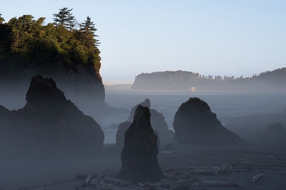 Ruby Beach Morning III art print by Stan Hellmann for $57.95 CAD