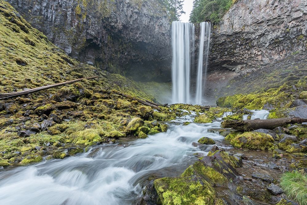 Tamanawas Falls I art print by Stan Hellmann for $57.95 CAD