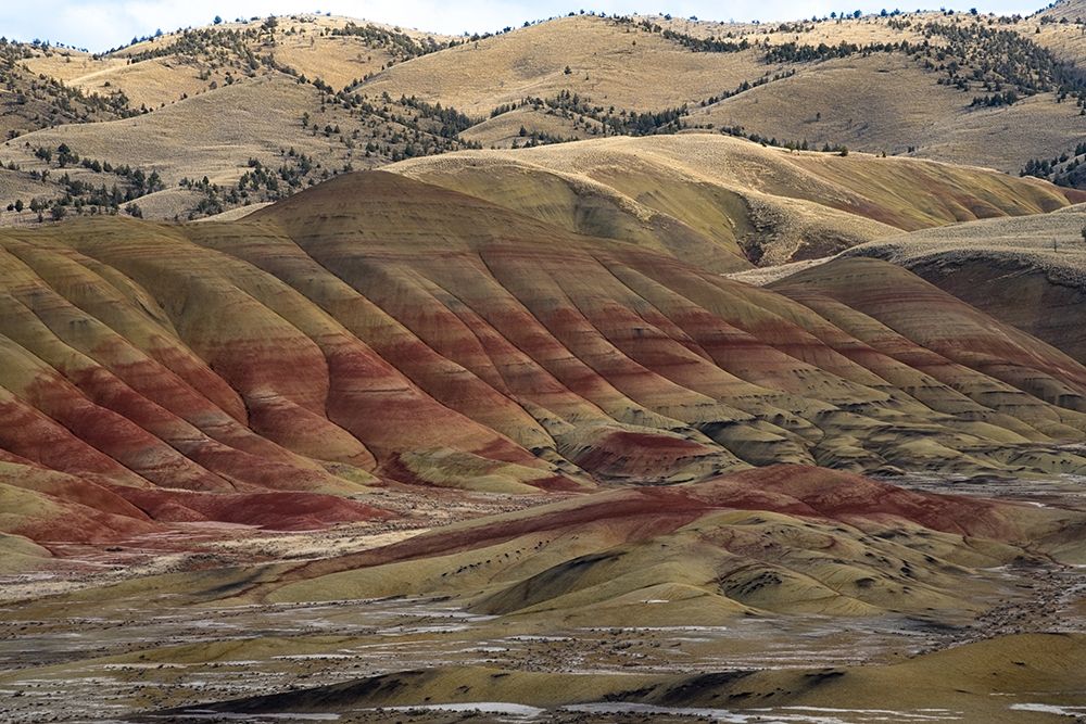 Painted Hills I art print by Stan Hellmann for $57.95 CAD