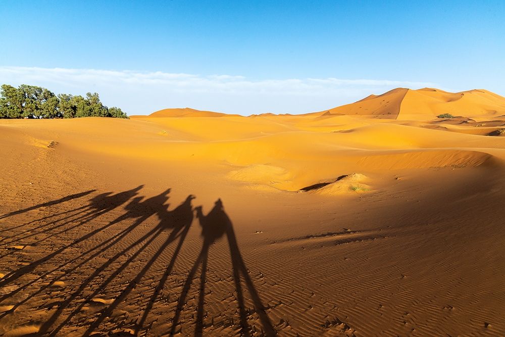 Merzouga art print by Stan Hellmann for $57.95 CAD