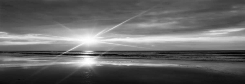 Beauteous Light Panel Bw I art print by Alan Hausenflock for $57.95 CAD