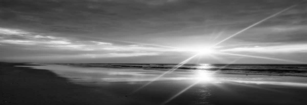 Beauteous Light Panel BW II art print by Alan Hausenflock for $57.95 CAD