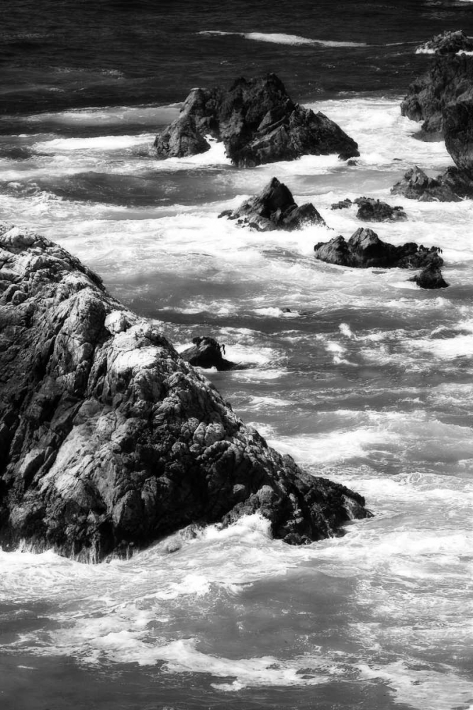 Garrapata Highlands 6 BW art print by Alan Hausenflock for $57.95 CAD