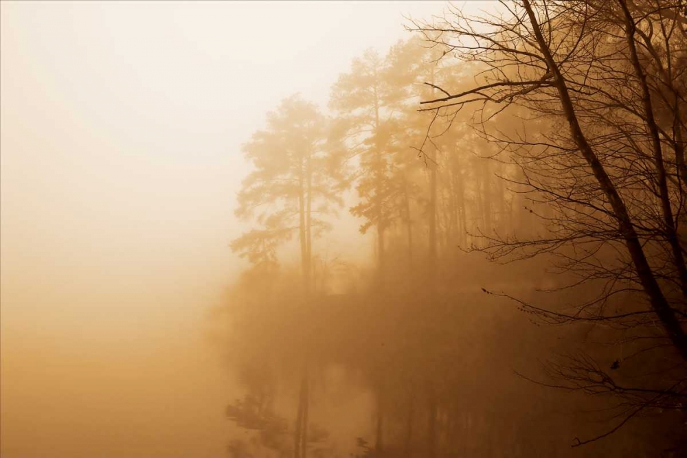 Fog on Shelly Lake I art print by Alan Hausenflock for $57.95 CAD