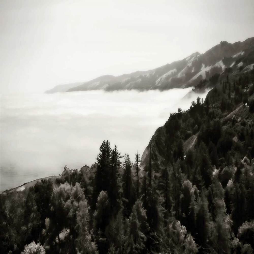 Pacific Fog Sq II art print by Alan Hausenflock for $57.95 CAD