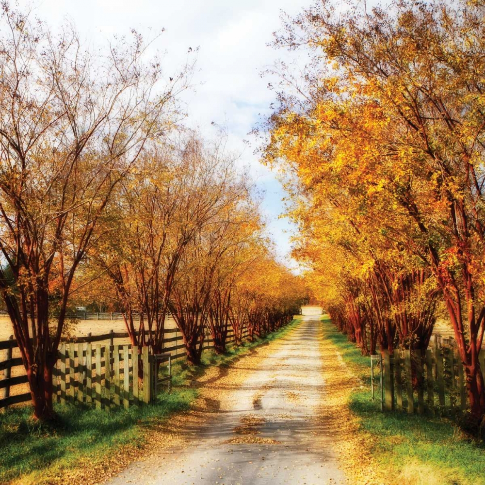 Glen Allen Farm Square IV art print by Alan Hausenflock for $57.95 CAD