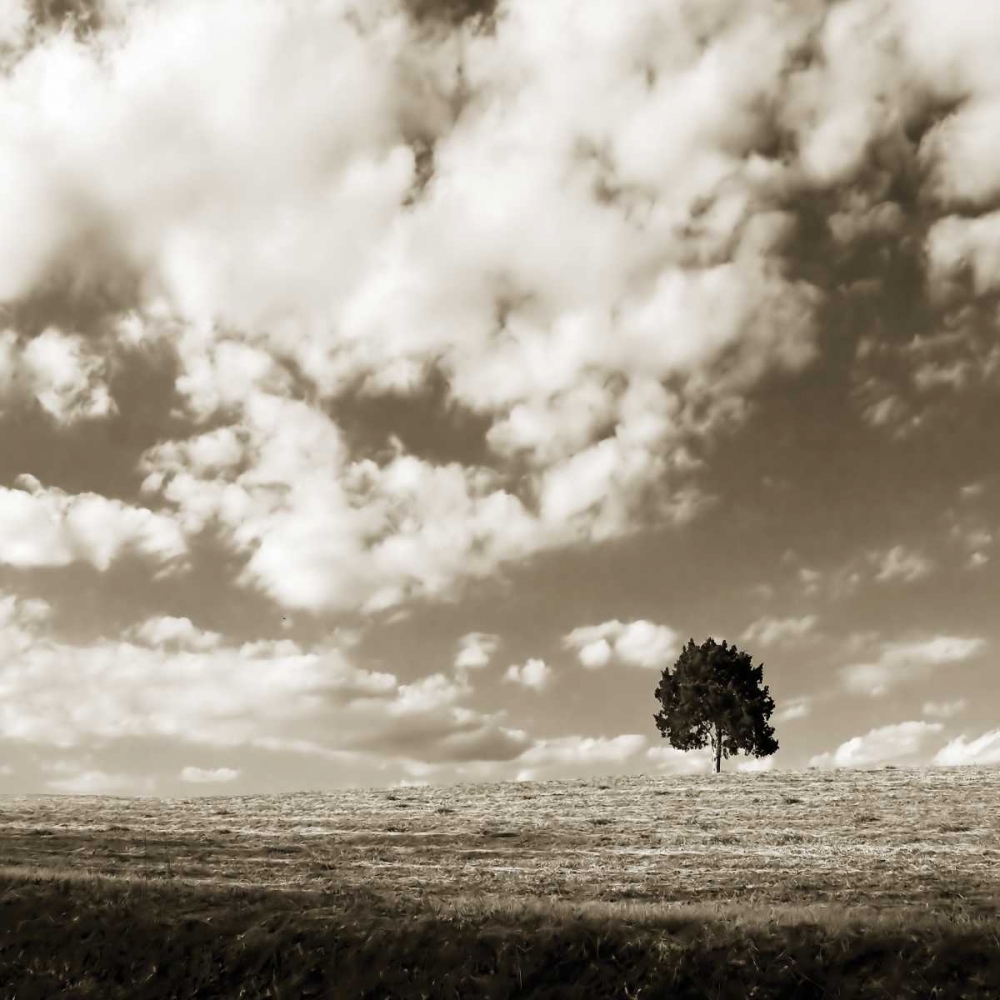 Cloudy Skies Sq I art print by Alan Hausenflock for $57.95 CAD