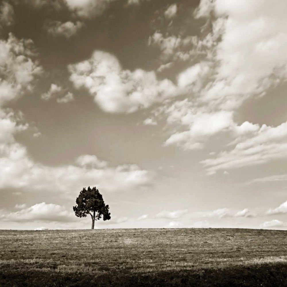 Cloudy Skies Sq III art print by Alan Hausenflock for $57.95 CAD