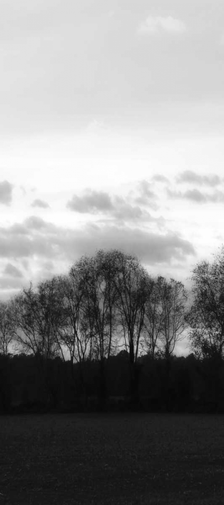 Winter Sunset BW III art print by Alan Hausenflock for $57.95 CAD