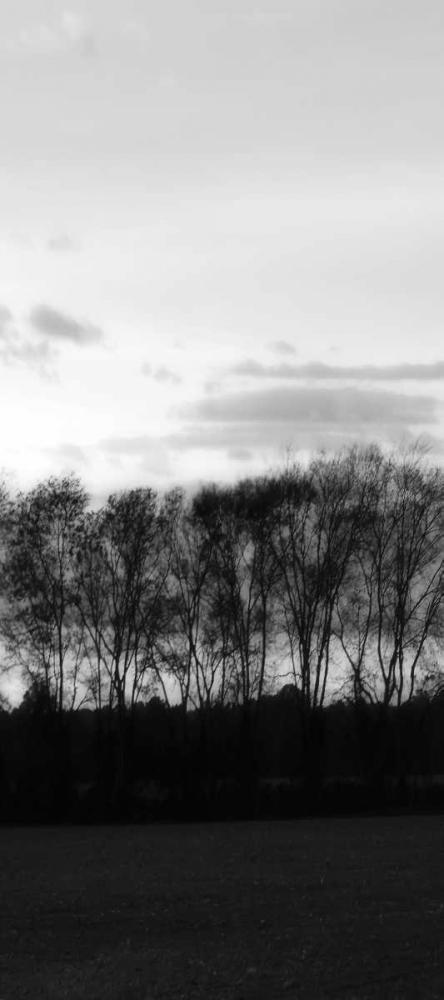 Winter Sunset BW IV art print by Alan Hausenflock for $57.95 CAD