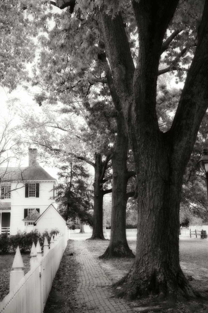 Small Town Autumn IV art print by Alan Hausenflock for $57.95 CAD