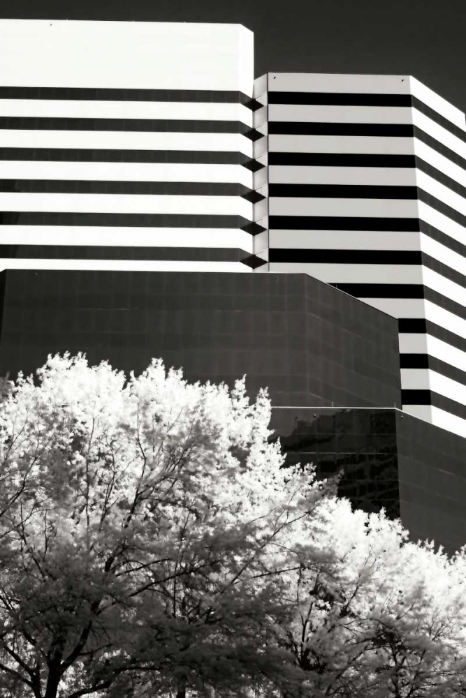 Geometric III art print by Alan Hausenflock for $57.95 CAD
