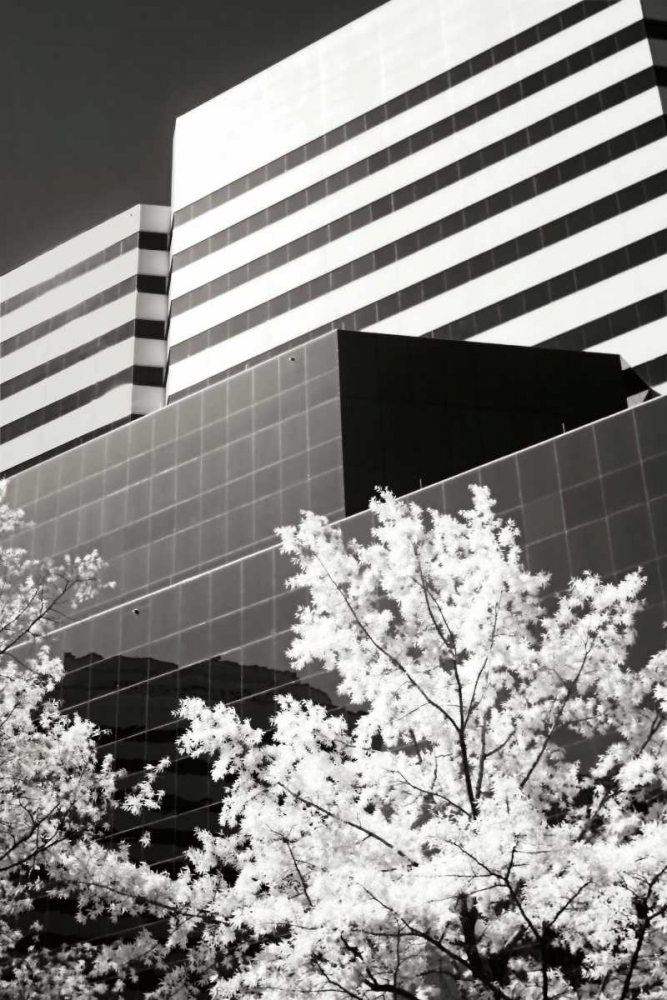 Geometric IV art print by Alan Hausenflock for $57.95 CAD