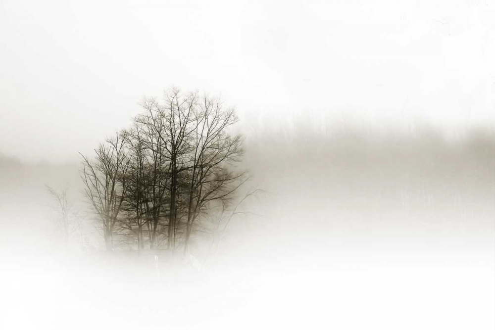 In the Mist II art print by Alan Hausenflock for $57.95 CAD