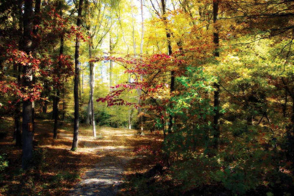 Hanover Wayside I art print by Alan Hausenflock for $57.95 CAD