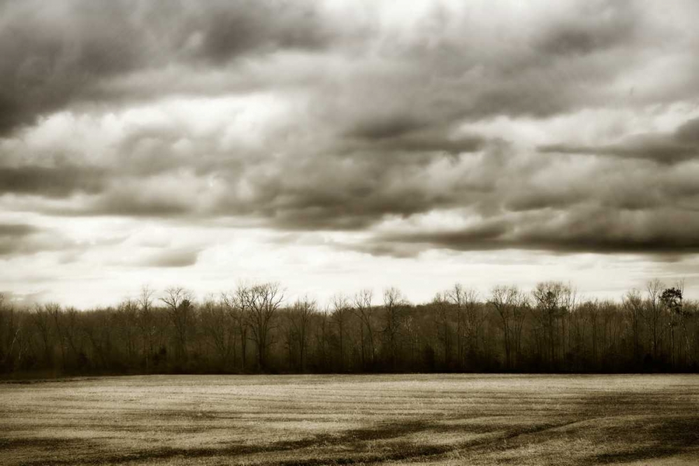Winter Fields IV art print by Alan Hausenflock for $57.95 CAD