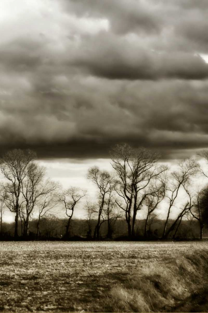 Winter Fields V art print by Alan Hausenflock for $57.95 CAD