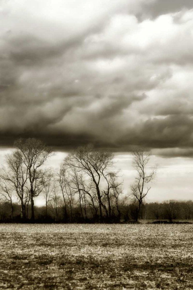 Winter Fields VI art print by Alan Hausenflock for $57.95 CAD