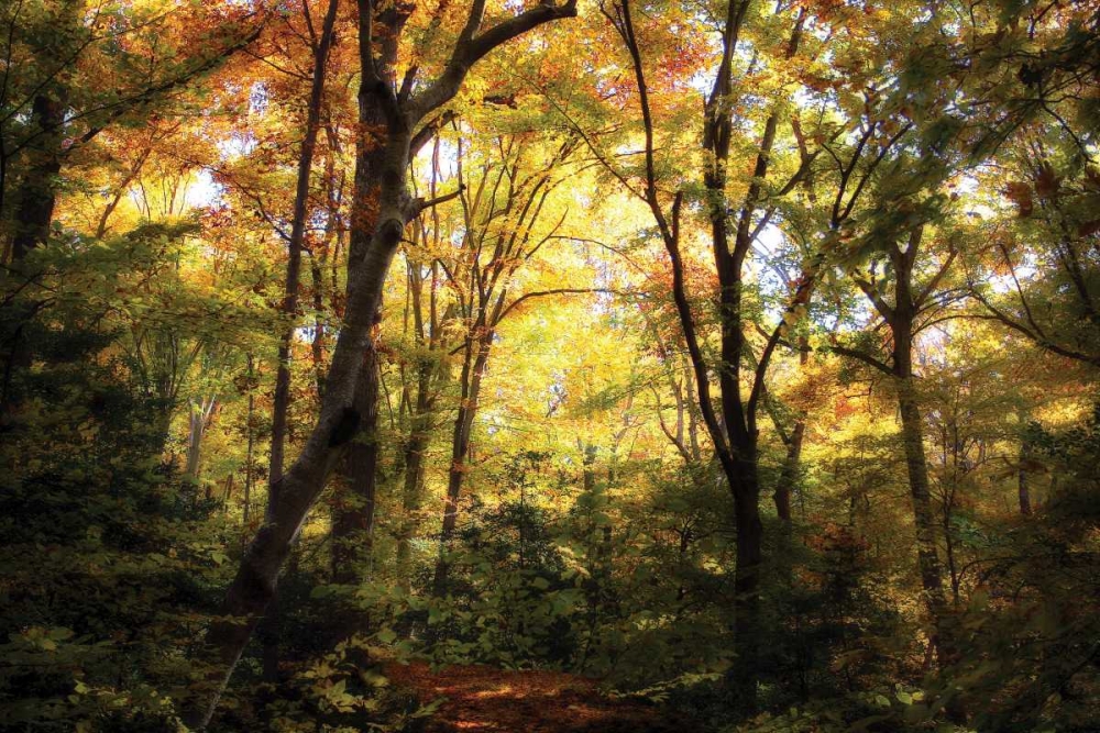 Hanover Wayside II art print by Alan Hausenflock for $57.95 CAD