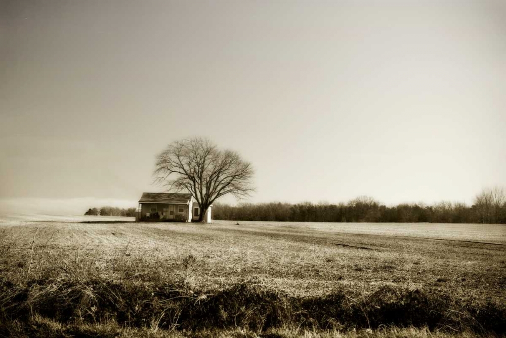Ashland Farm II art print by Alan Hausenflock for $57.95 CAD