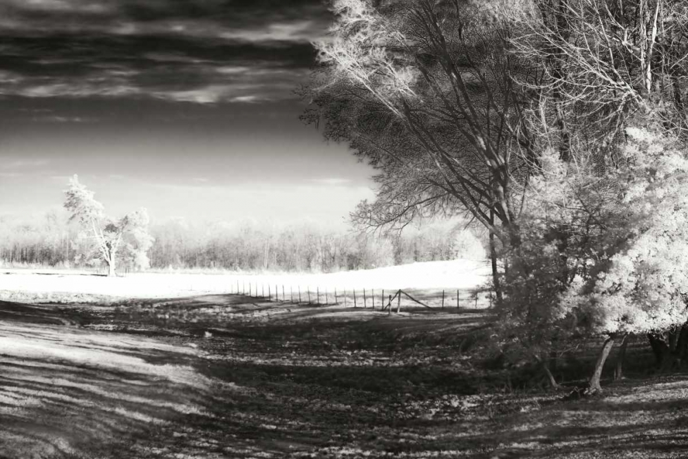 Dry Creek II art print by Alan Hausenflock for $57.95 CAD
