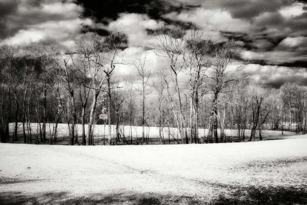 Hanover Winter II art print by Alan Hausenflock for $57.95 CAD