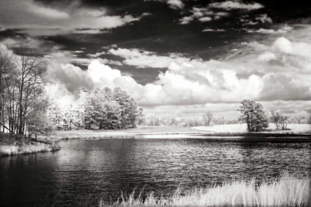 Shearon Lake II art print by Alan Hausenflock for $57.95 CAD