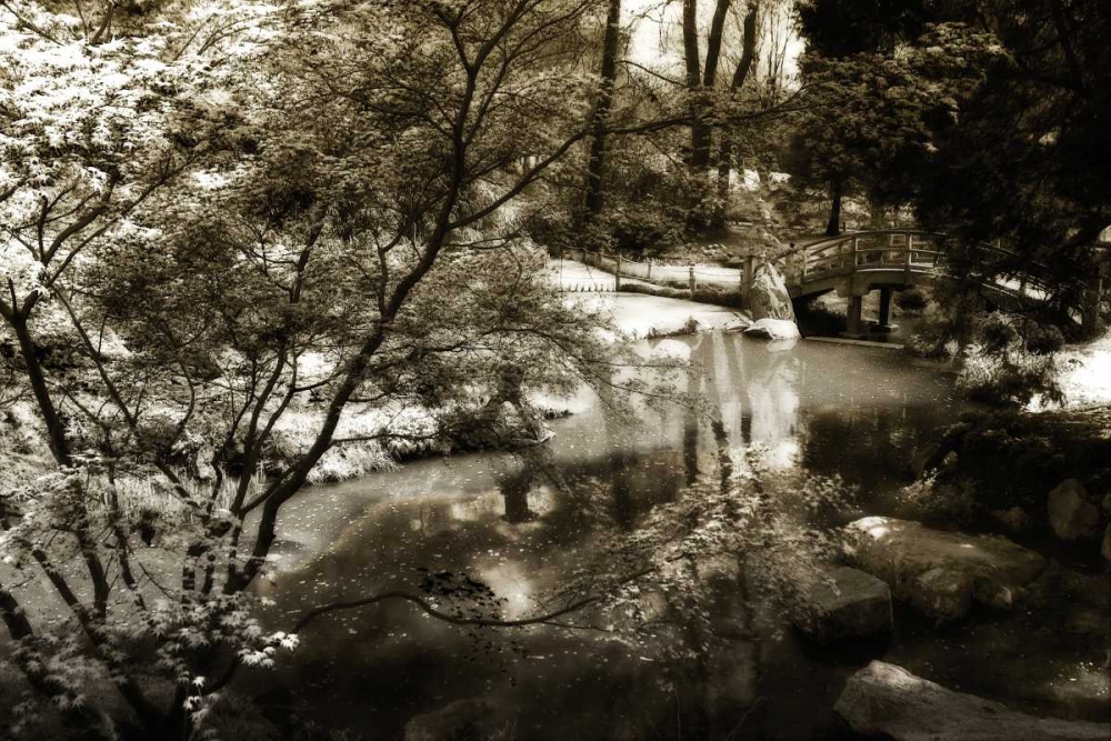 Garden Bridge II art print by Alan Hausenflock for $57.95 CAD