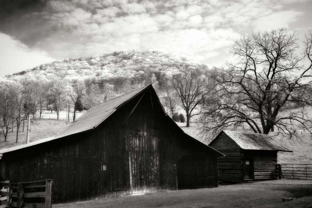 Alleghany County I art print by Alan Hausenflock for $57.95 CAD